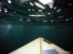 Underwater Surf World Of Lake Bled